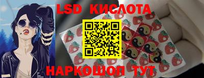 a pvp Обь